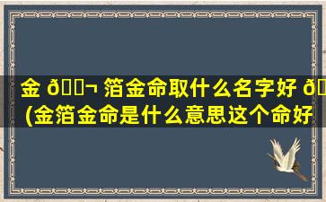 金 🐬 箔金命取什么名字好 🐛 (金箔金命是什么意思这个命好不好)